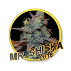 MR. SHISKA