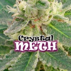 CRYSTAL M.E.T.H.